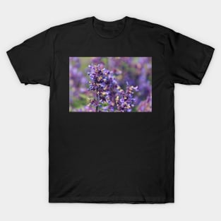 Lavender Flowers T-Shirt